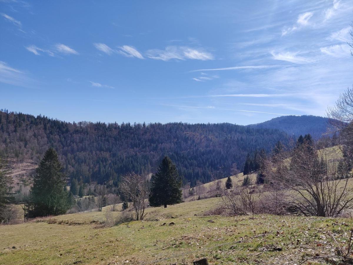 Berggasthaus Prager Boden Тодтнау Экстерьер фото