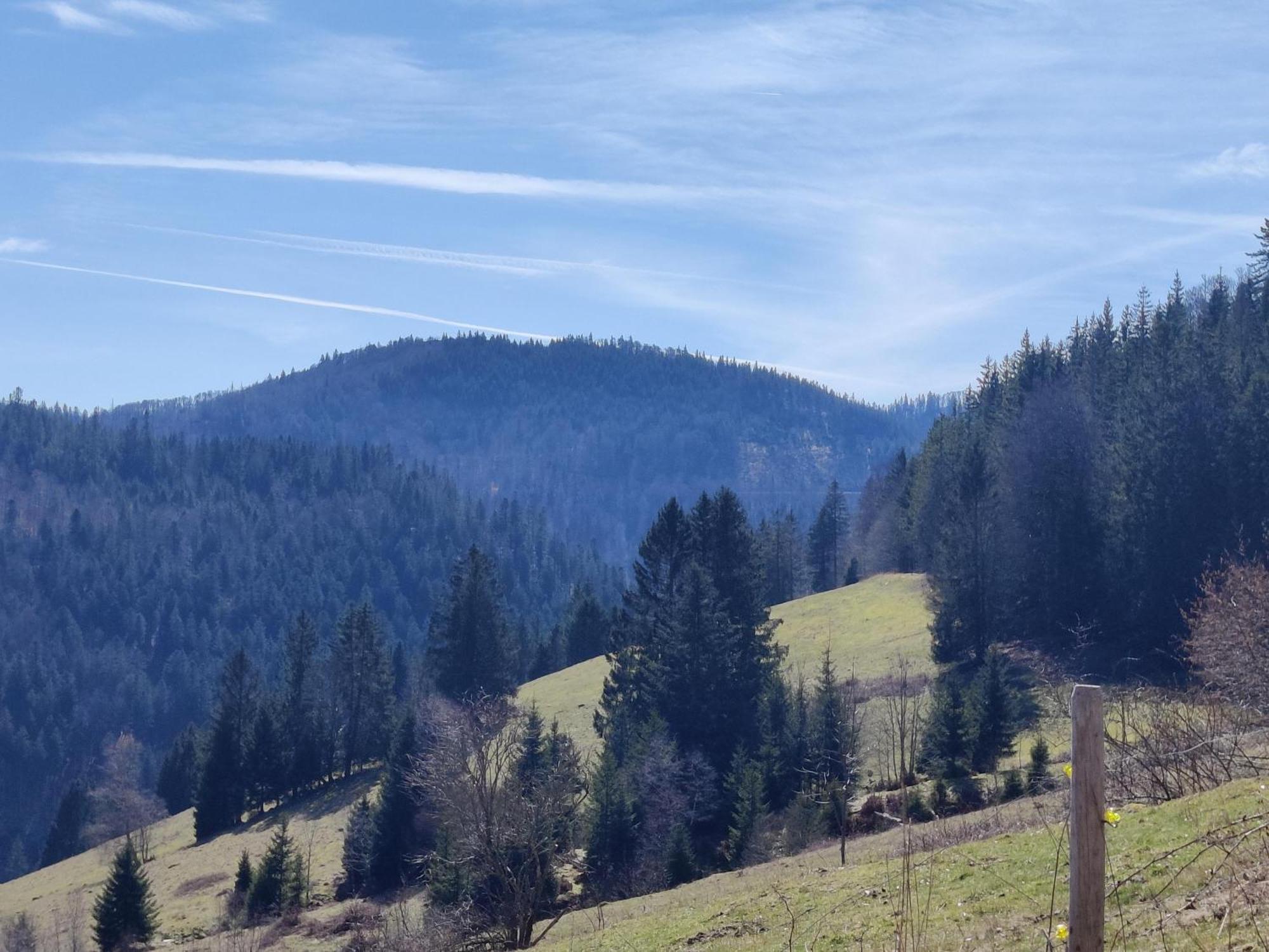 Berggasthaus Prager Boden Тодтнау Экстерьер фото