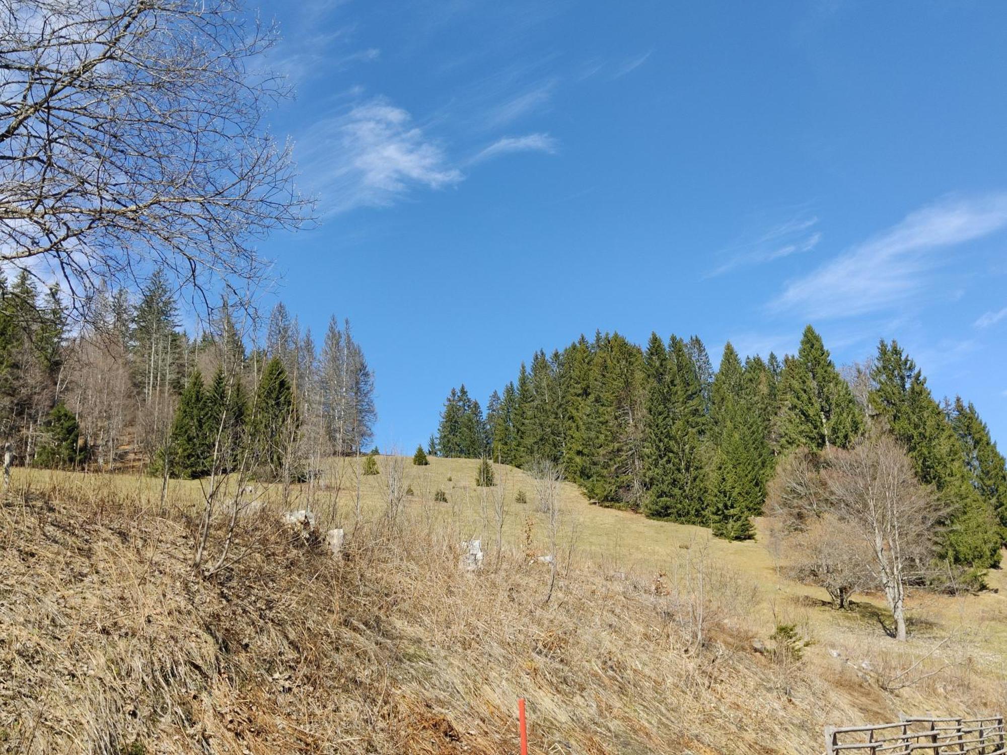 Berggasthaus Prager Boden Тодтнау Экстерьер фото