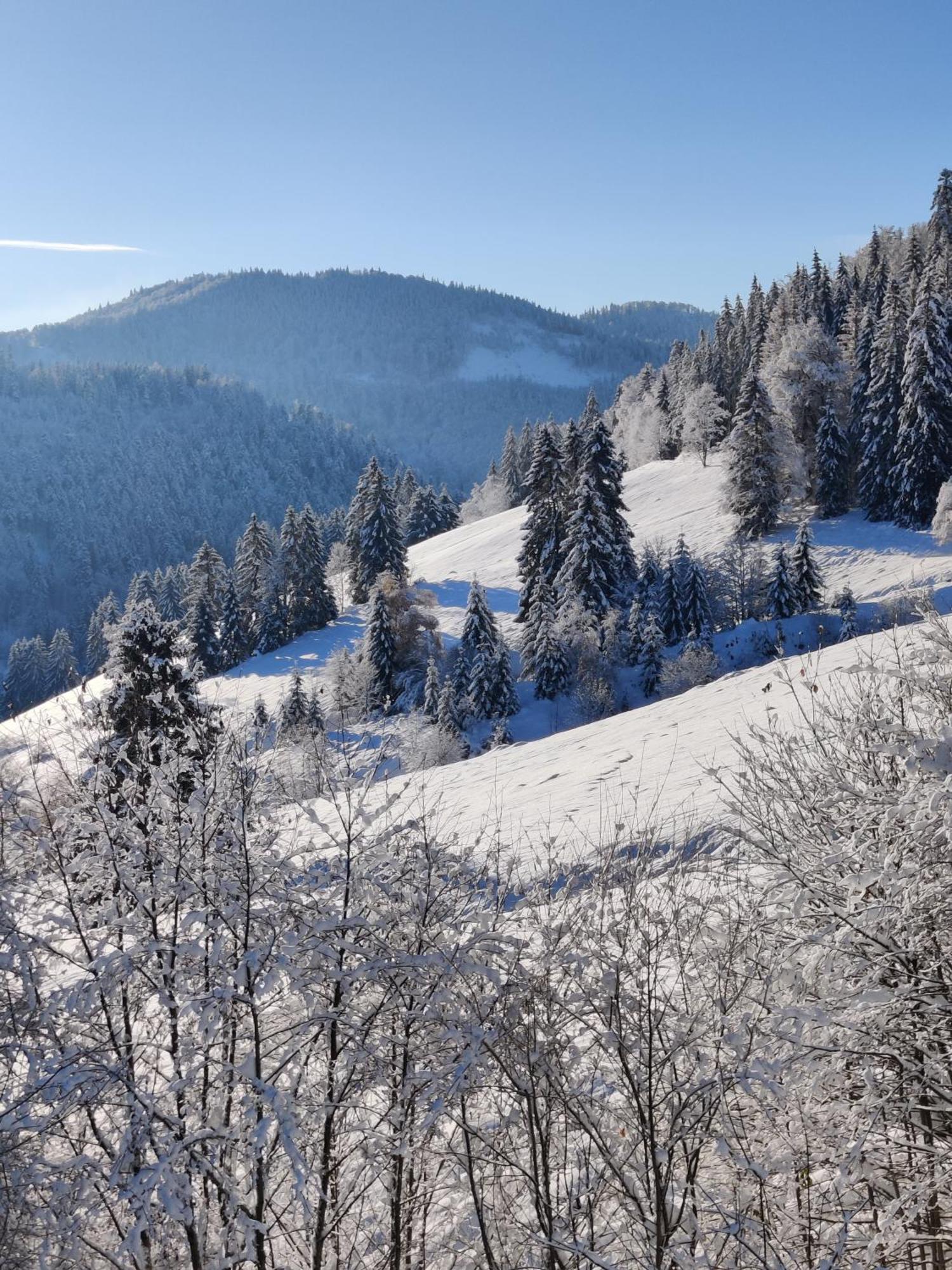Berggasthaus Prager Boden Тодтнау Экстерьер фото